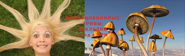 скорость Алзамай