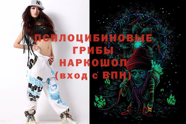 скорость Алзамай
