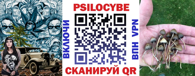 Псилоцибиновые грибы Cubensis  Пикалёво 